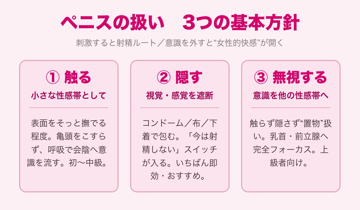 ペニスの扱い 触る・隠す・無視の3つの基本方針