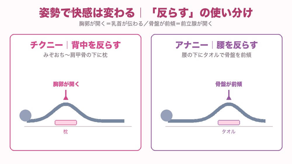 チクニーは背中・アナニーは腰を反らす姿勢の図