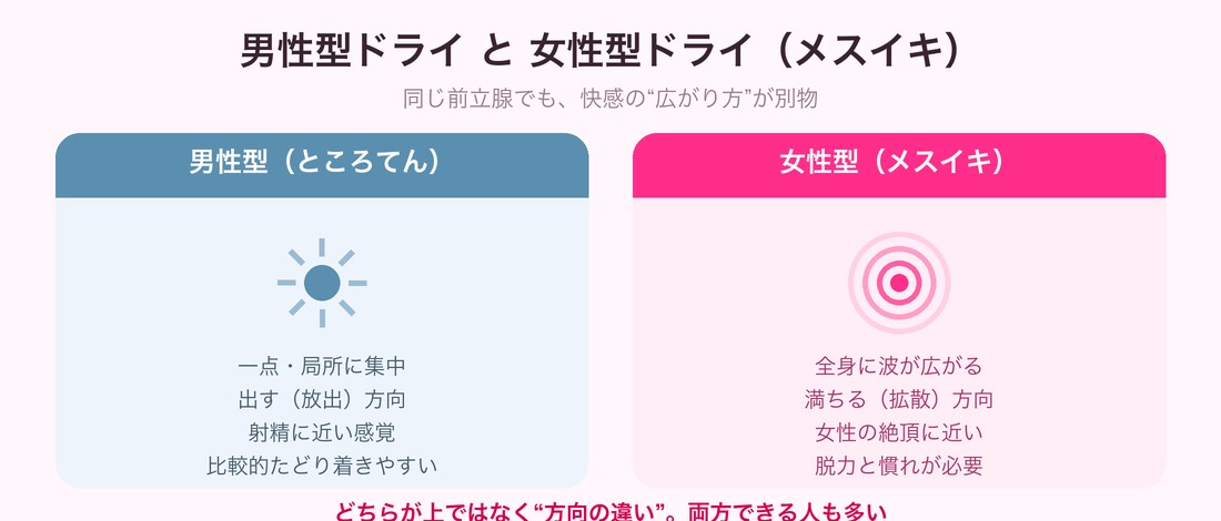 男性型ドライ(一点・出す)と女性型ドライ(全身・満ちる)の違いを示した図