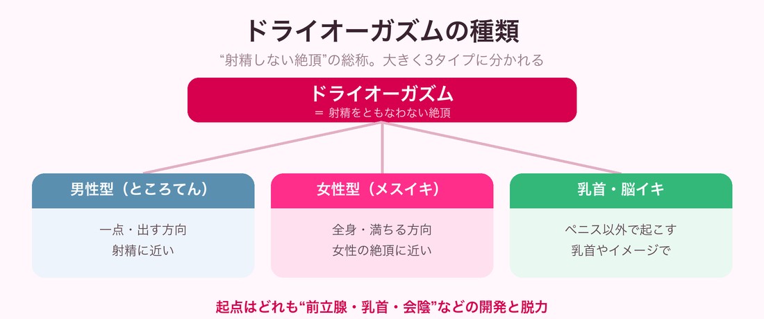 ドライオーガズムの種類マップ（男性型・女性型・乳首/脳イキの3タイプ）