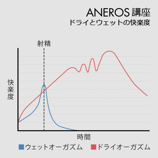 射精(ウェット)とメスイキ(ドライ)の快楽度の違い(アネロス公式)