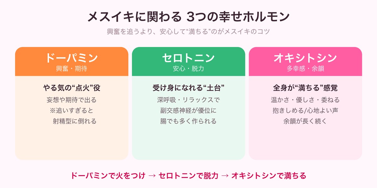 メスイキに関わる3つの幸せホルモン（ドーパミン・セロトニン・オキシトシン）の役割をまとめた図解