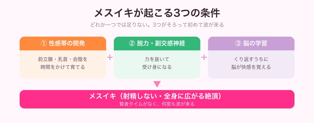 メスイキが起こる3つの条件の図（性感帯の開発＋脱力・副交感神経＋脳の学習→メスイキ）