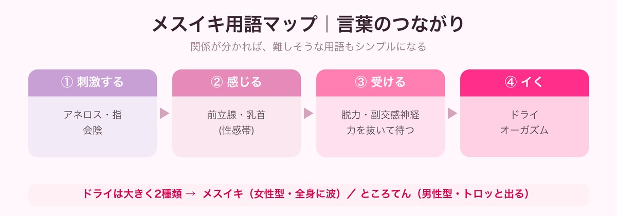 メスイキ用語のつながりを示すマップ図（刺激する→感じる→受ける→イく、ドライは女性型と男性型に分かれる）