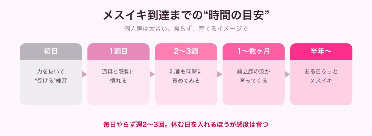 メスイキ到達までの時間の目安タイムライン（初日→1週目→2〜3週→1〜数ヶ月→半年〜）