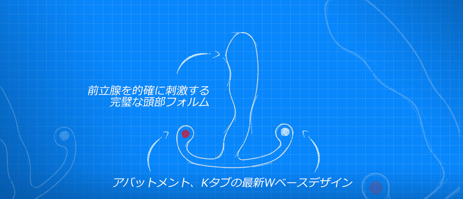 快感のための設計(アネロス公式)