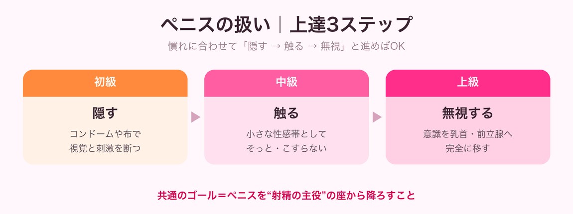 ペニスの扱いの上達3ステップ(初級=隠す→中級=触る→上級=無視)の図