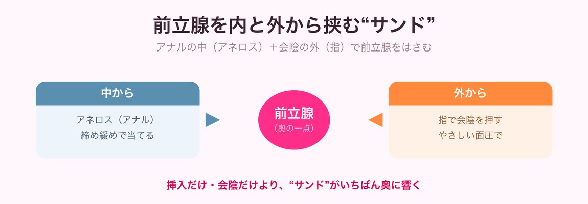 前立腺を内（アネロス）と外（会陰を押す指）から挟む“サンド”の図